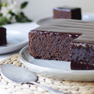 Mudcake